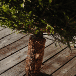 MORTENFROESLEV-5394-kopi 1